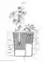 Fig. 07 - Hydroculture pot