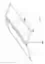 Fig. 03 - CANOPY