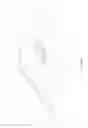 Fig. 18 - CANOPY