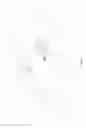 Fig. 19 - CANOPY