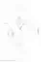 Fig. 20 - CANOPY