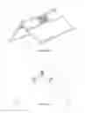 Fig. 26 - CANOPY