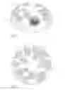 Fig. 02 - PET AMUSEMENT DEVICE