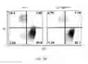 Fig. 35 - ADAM6 mice