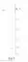 Fig. 02 - Fishing line guide