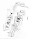 Fig. 03 - Deboning machine