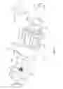 Fig. 10 - Deboning machine