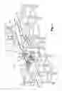 Fig. 02 - Facility for manufacturing a restructured meat element