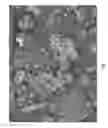 Fig. 02 - Method for the Manufacture of Larger Particle Forms of Low Sodium Salts
