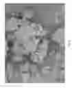 Fig. 03 - Method for the Manufacture of Larger Particle Forms of Low Sodium Salts