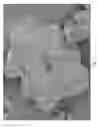Fig. 04 - Method for the Manufacture of Larger Particle Forms of Low Sodium Salts