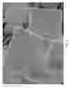 Fig. 05 - Method for the Manufacture of Larger Particle Forms of Low Sodium Salts