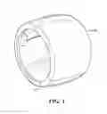 Fig. 02 - Cigar band