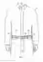 Fig. 09 - GARMENT ENGAGEMENT SYSTEM