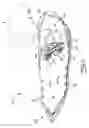 Fig. 03 - Snowshoe with double hinge binding