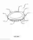 Fig. 203 - ENCASEMENTS FOR AN ELECTRONIC DEVICE HAVING A BIOMETRIC SCANNER