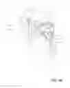 Fig. 06 - Slide assembly