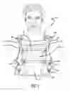 Fig. 02 - MODULAR CHILD CARRIER