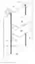 Fig. 01 - Suspension Device For Presenting Goods, Having A Current-Carrying Profiled Rail And Primary Support Which Can Be Hung Therein