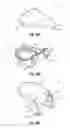 Fig. 23 - Lid for a container