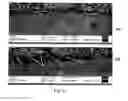 Fig. 03 - Sol-gel coating comprising anisotropic particles and culinary article provided with such a coating