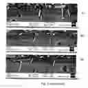 Fig. 04 - Sol-gel coating comprising anisotropic particles and culinary article provided with such a coating