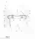 Fig. 06 - Dishwasher