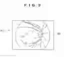 Fig. 04 - Perimeter