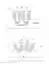 Fig. 04 - REFLECTION DETECTION TYPE MEASUREMENT APPARATUS FOR SKIN AUTOFLUORESCENCE