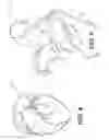 Fig. 05 - METHOD AND SYSTEM FOR PATIENT-SPECIFIC MODELING OF BLOOD FLOW