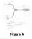 Fig. 05 - Gastric Acid Detector