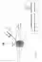 Fig. 07 - BLOOD COLLECTION NEEDLE ASSEMBLY HAVING A LIGHT SOURCE