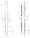 Fig. 09 - BLOOD COLLECTION NEEDLE ASSEMBLY HAVING A LIGHT SOURCE