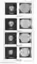 Fig. 04 - SONIFICATION OF IMAGING DATA