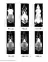 Fig. 05 - Method and system for automated detection of tissue interior to a mammalian ribcage from an in vivo image
