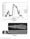 Fig. 11 - Method and system for automated detection of tissue interior to a mammalian ribcage from an in vivo image