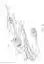Fig. 07 - MRI biopsy device