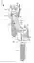 Fig. 01 - DYNAMIC SPINAL STABILIZATION ROD