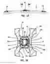 Fig. 21 - Anterior cervical plate