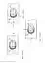 Fig. 13 - Bone plate