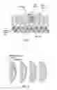 Fig. 02 - Post nasal drip treatment