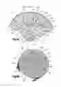 Fig. 03 - Torque limiting instrument