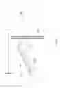 Fig. 09 - Imaging proxy
