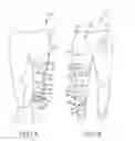 Fig. 02 - Systems and Methods for Increasing the Effectiveness of a Mechanical Joint Brace