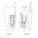 Fig. 03 - Systems and Methods for Increasing the Effectiveness of a Mechanical Joint Brace