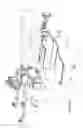 Fig. 10 - HEAD AND CERVICAL SPINE POSITION ARTICULATING DEVICE