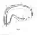 Fig. 05 - GOGGLE