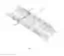Fig. 07 - LIGHT WEIGHT MULTI USE COLLAPSIBLE STRETCHER