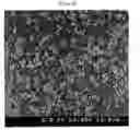 Fig. 07 - Oral composition