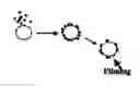 Fig. 01 - Process for preparing carrier particles for dry powders for inhalation